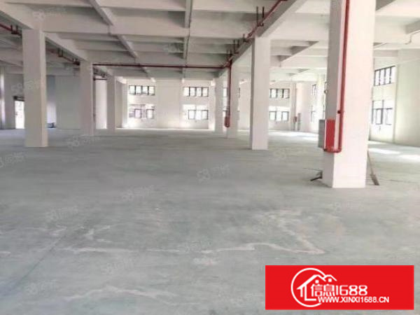 佛山三水乐平全新独门独院标准楼层厂房20000方！大小可分租