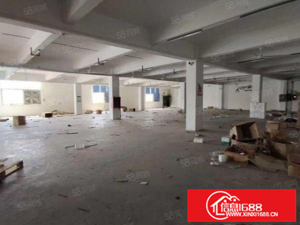 原房东龙岗坂田下雪科技工业城3千平厂房仓库出租大小可分租