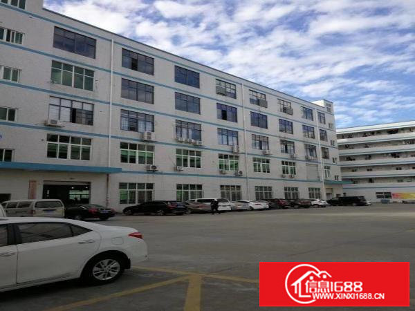 龙岗区新鲜出炉独院一楼520平精装修厂房