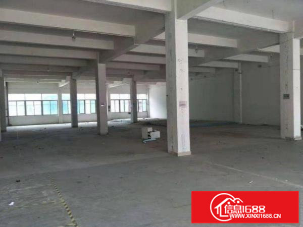 横沥张坑一楼200平方厂房出租空地大可办环评