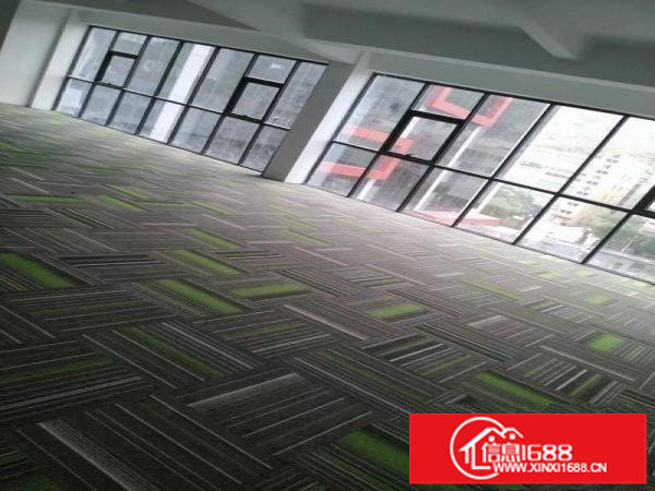 丹竹头200，300.500平电商产业园出租