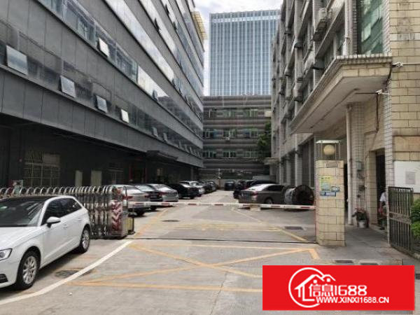 大浪原房东出租带现成装修300到700平还价就租