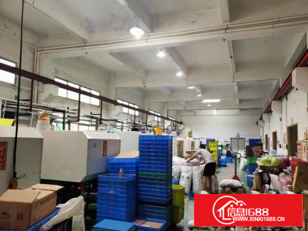 塘厦石鼓新出600平标准一楼（现成行车，水电齐全仅租17元）