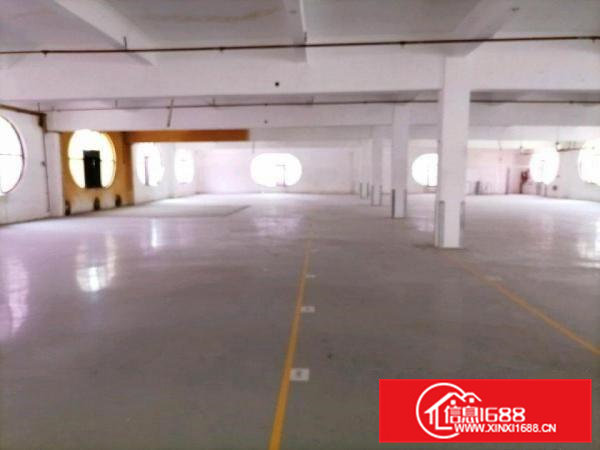 寮步新出工业园区厂房