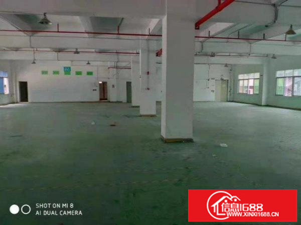 龙岗宝龙标准厂房出租一楼1850平方层高5米带装修