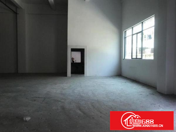 横岗大康新出一楼430平米出租