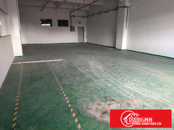 现成装修，豪华办公室