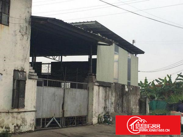 横沥贝涌村厂房400平米可做抽粒抛光行业