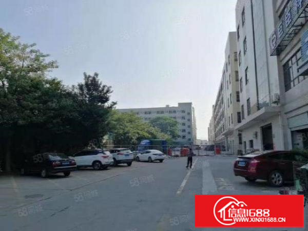 桥头镇原房东标准独院厂房二楼，标准电梯2部，全新装修