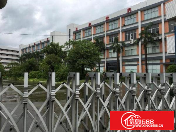 龙岗坪地高桥低碳产业园1万平米独院厂房出租