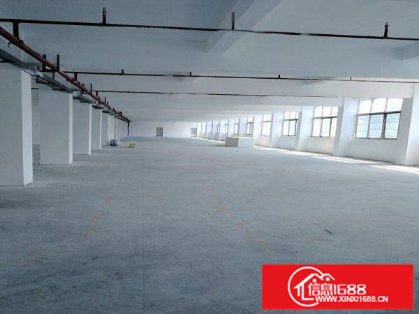 坪山大道旁独院楼上带消防喷淋1800平