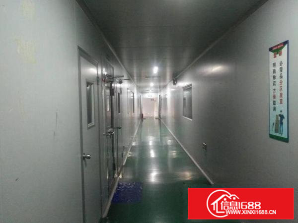 茶山原房东厂房楼上两层4000平方无尘车间现成环评可分租