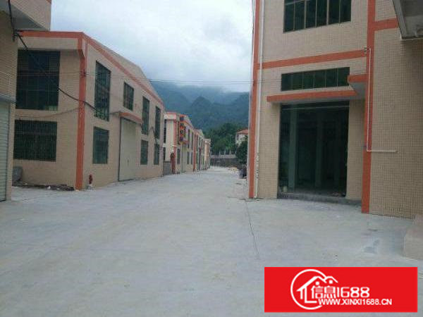 原房东一栋2000平米8米高钢构3栋出租;可分租