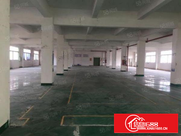 沙井107楼上特价18元整层1000平厂房