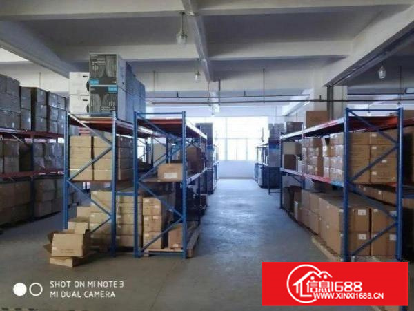 容桂新出标准700方，厂房形象漂亮，采光好，价格便宜