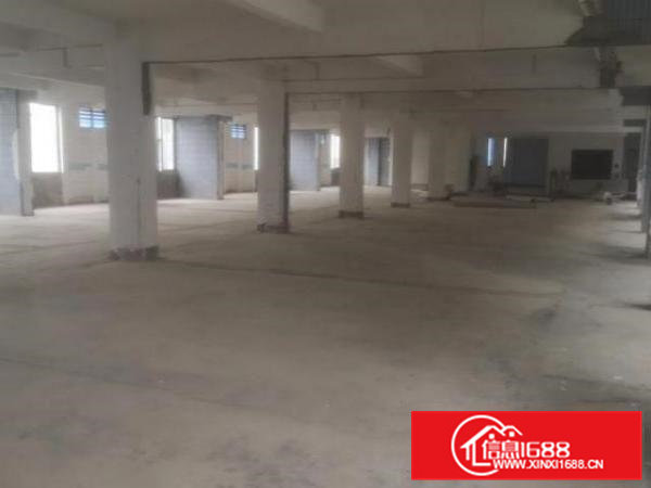 南栅五区民昌路厂房出租