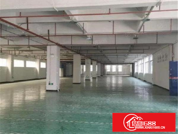 大朗新马莲工业区新出楼上1480方水电到位带装修