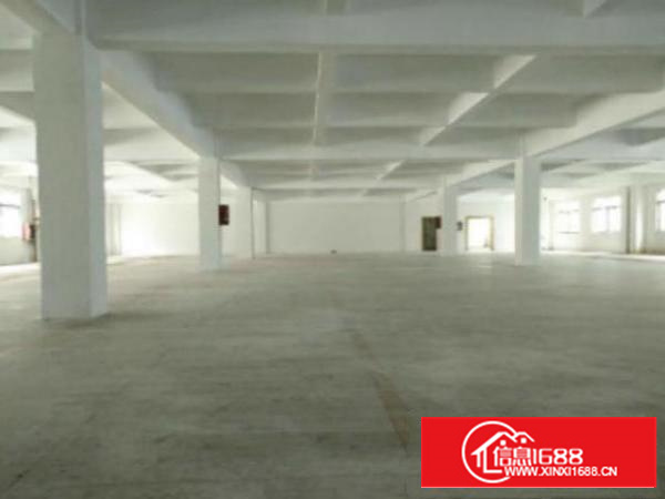 万江石美附近工业区新出标准厂房2楼1500平方出租