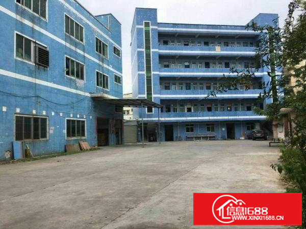 横沥镇新出带现成装修厂房招租1000平方