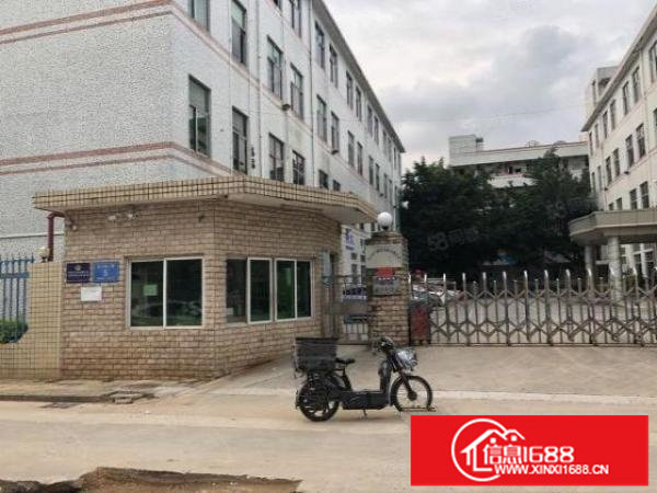 独门独院厂房加宿舍6000平方米