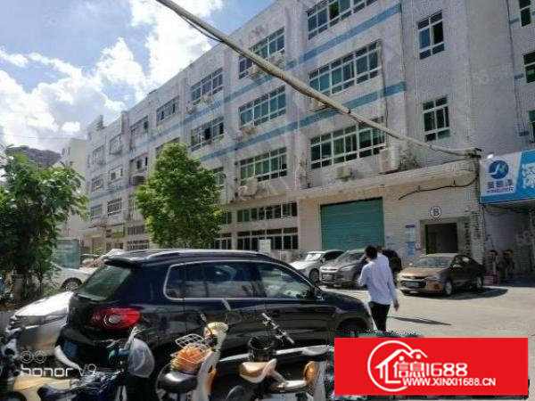 龙华中心地段原房东厂房出租1600平方停车位充足