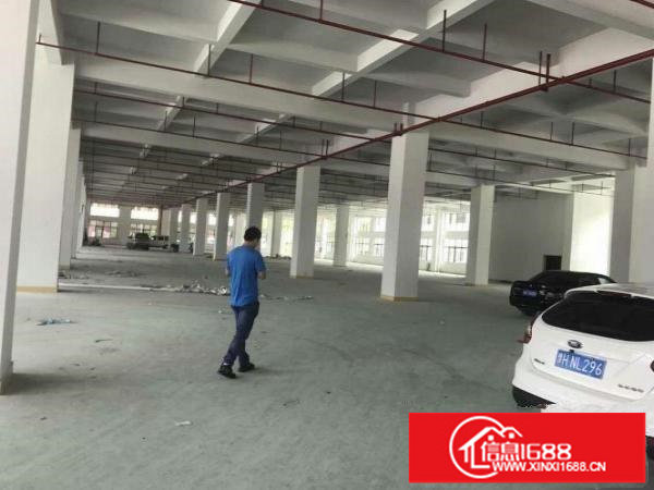 观澜桂花工业区（新出）一楼1100平方出租