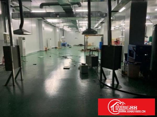 新田个人精装修厂房大小可分租100m2起分