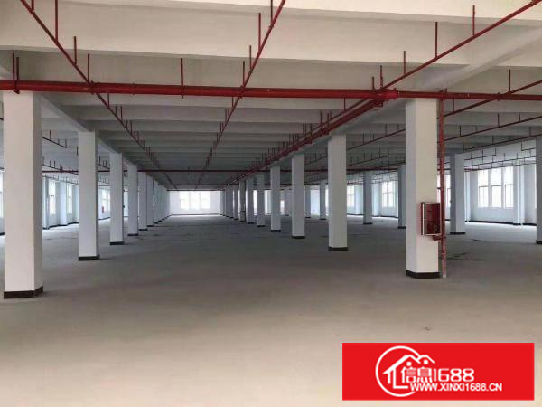 原房东带线路板牌，照厂房出租双面电路板标准厂房形象超靓