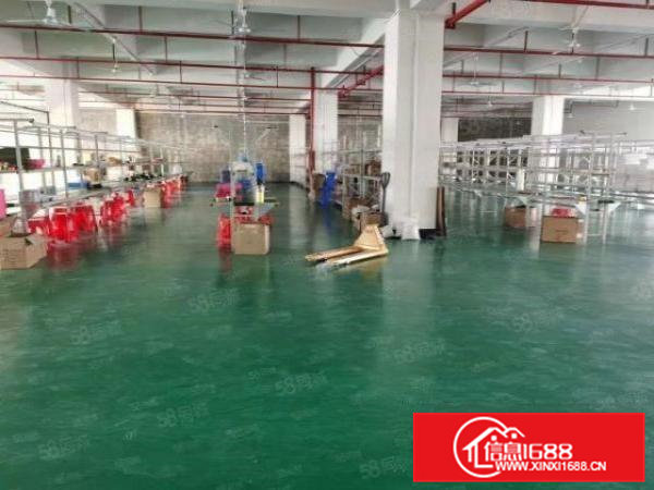 茶山独院重工业厂房出租2500方，每平方承重2吨。12元出租