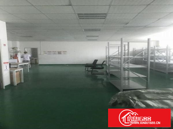 坂田厂房带装修230平方450平方650平方1500平方