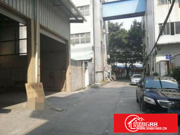 新马莲一楼300平招租滴水6米电200千瓦水电到位