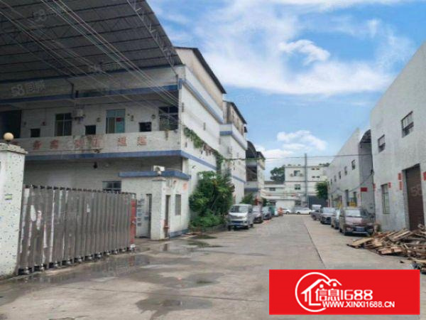 陈村广隆工业区单一层滴水9米高钢结构厂房招租