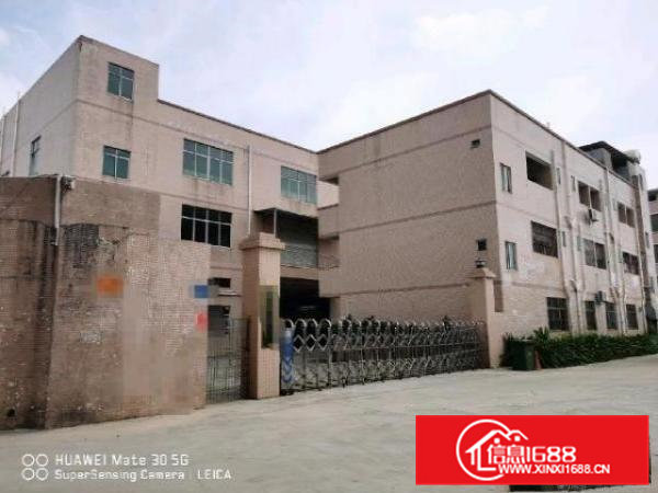 独门独院标准厂房4300㎡