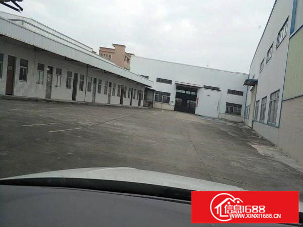 企石新出独院1550平方独院钢构厂房滴水7米,空地大,工业区