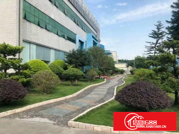 石排镇正规工业区里面，万级无尘车间实际面积，大小可分租，