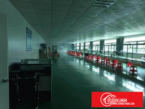 标准厂房分租楼上1200平方米带现成装修