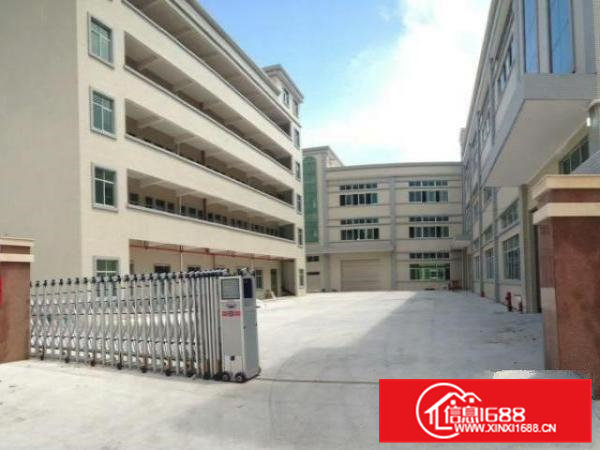 高埗标准一楼1500平方厂房出租带消防喷淋水电齐全