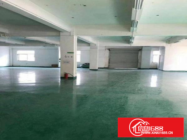 塘厦石鼓独院标准2楼380平方！地坪漆装修！小面积便宜租