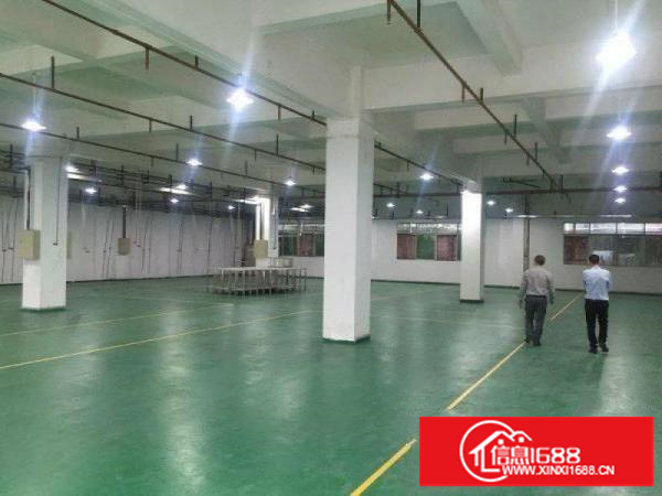 出租布吉百鸽笼楼上厂房1000平方，带地坪漆