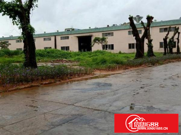 出租大岭山107国道边4万平方独院厂房