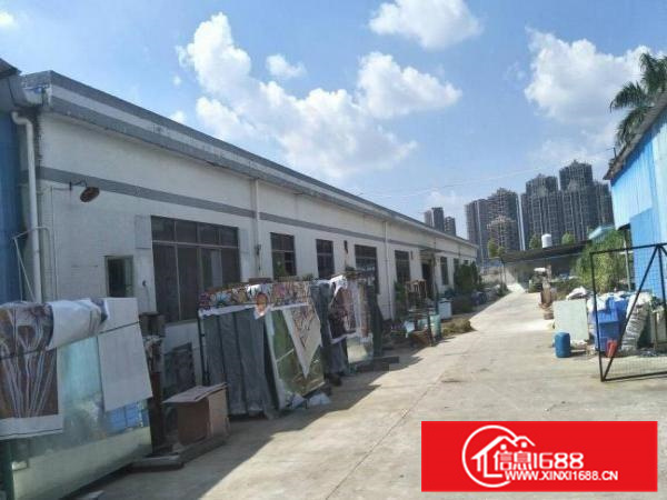 惠阳新墟2100平独院钢构高8米空地大可分租