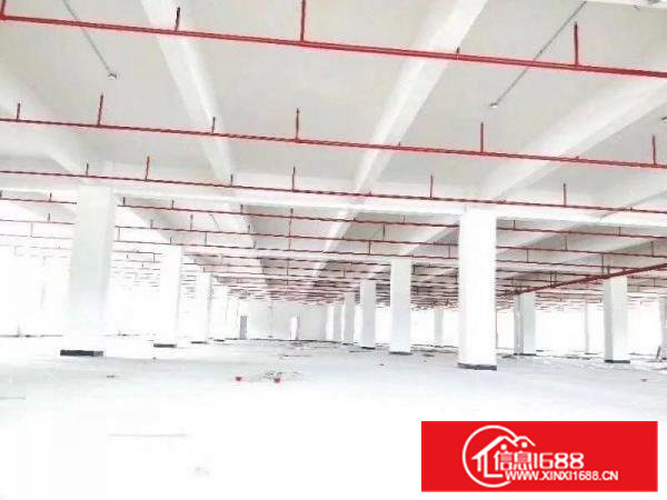 东部快线旁独门独院厂房共15000平方全带消防喷淋