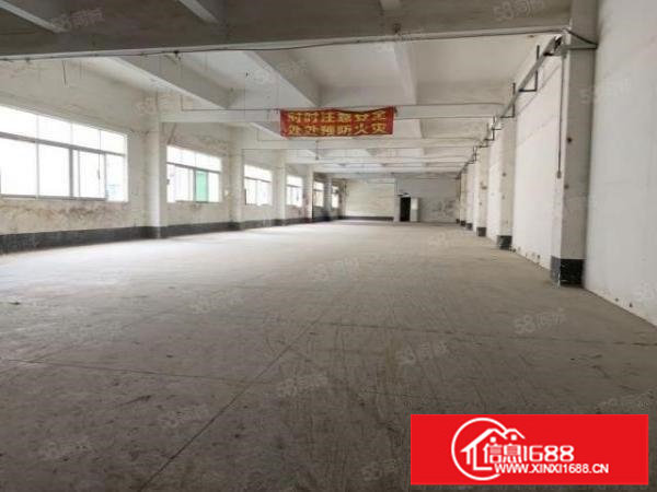 红棉路四联一楼标准厂房700平方出租.可分租