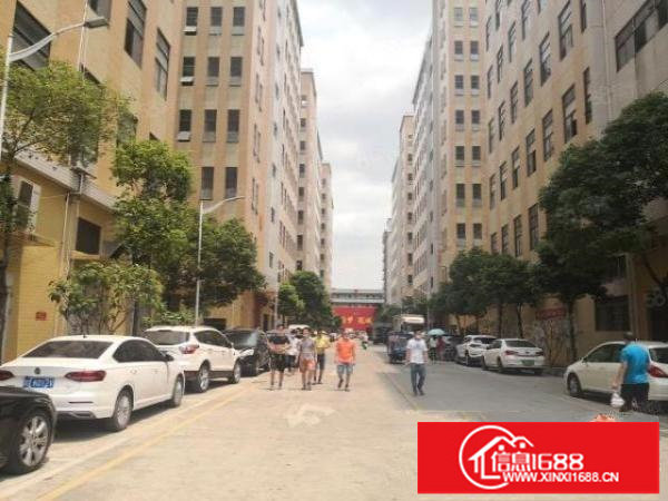 1000平起分布吉原房东高新园区20000平标准厂房出租