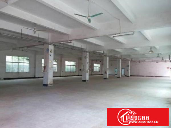 龙岗龙东一楼厂房出租1260平米带航车