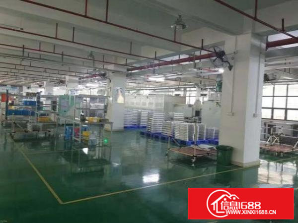 凤岗五联电子组装毛刷包装小五金加工厂房出租