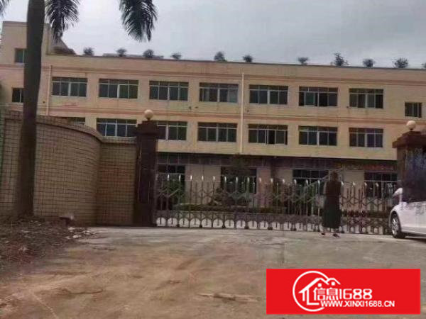 金富园区1到3层独院共4500平米出租可分层租