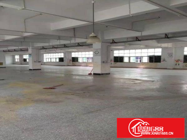 横岗228工业区原房东红本独门独院厂房4800平实际面积出租