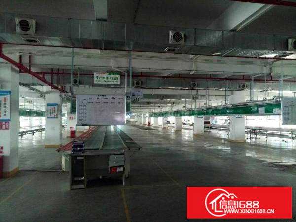 陈江全新红本厂房14000平米，可分租