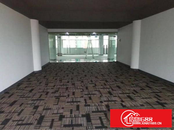 坂田黄金山带装修103平168平248平350平米